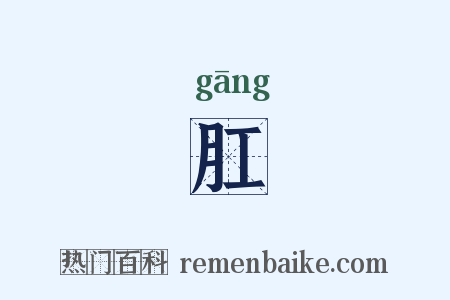 肛是什么意思的图片